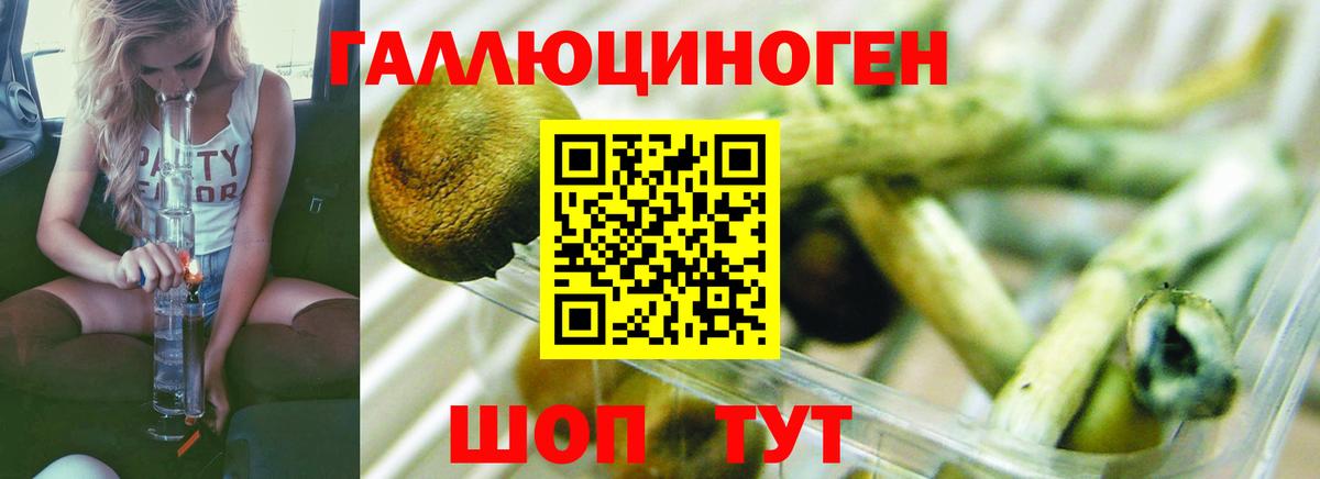 Псилоцибиновые грибы ЛСД  Вход с VPN  Холмск 
