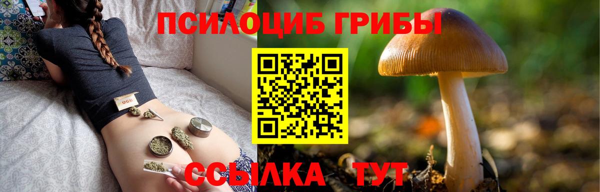 Псилоцибиновые грибы ЛСД Холмск